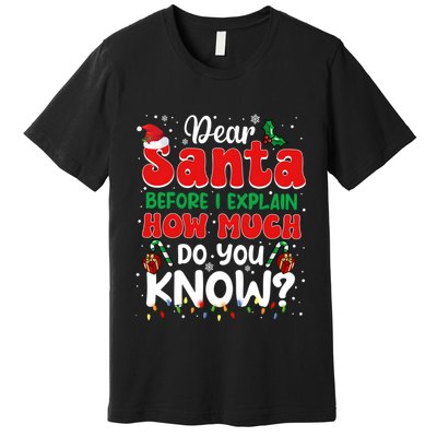 Christmas Dear Santa Before I Explain How Much Do You Know Premium T-Shirt