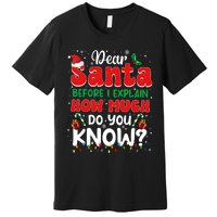 Christmas Dear Santa Before I Explain How Much Do You Know Premium T-Shirt