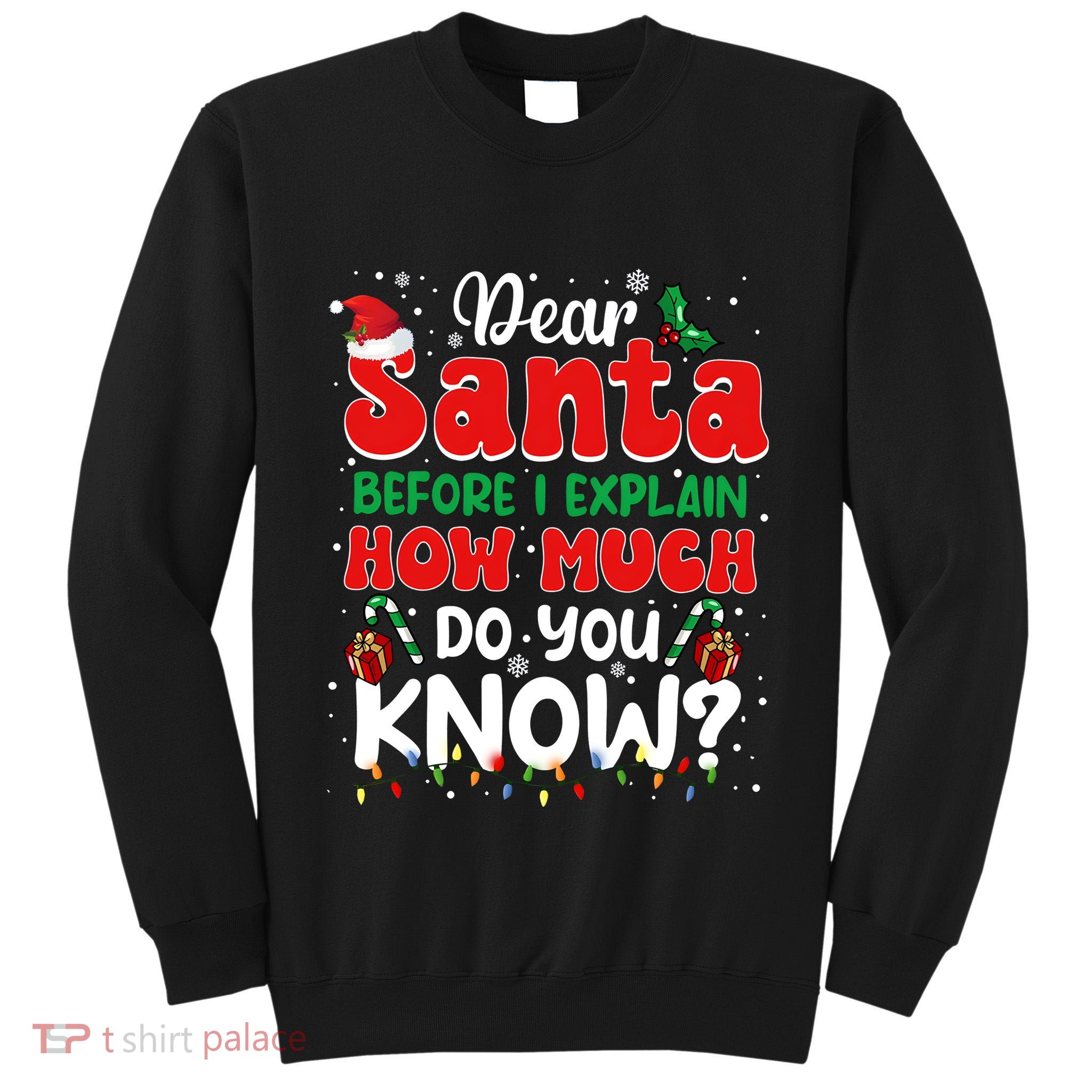Christmas Dear Santa Before I Explain How Much Do You Know Tall Sweatshirt