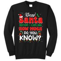 Christmas Dear Santa Before I Explain How Much Do You Know Tall Sweatshirt