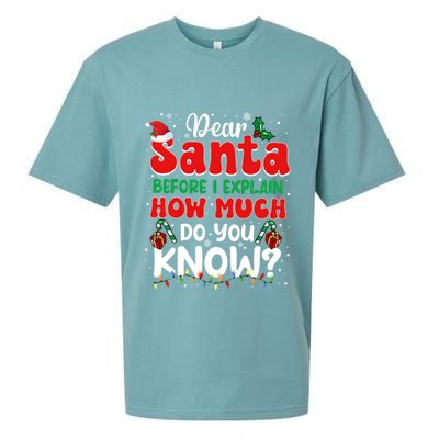 Christmas Dear Santa Before I Explain How Much Do You Know Sueded Cloud Jersey T-Shirt