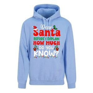 Christmas Dear Santa Before I Explain How Much Do You Know Unisex Surf Hoodie