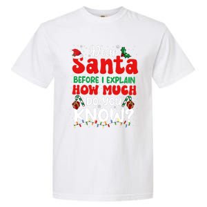 Christmas Dear Santa Before I Explain How Much Do You Know Garment-Dyed Heavyweight T-Shirt