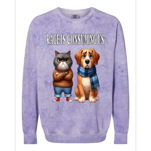 Cat & Dog Silly Staring Rage Is Consuming Us Colorblast Crewneck Sweatshirt