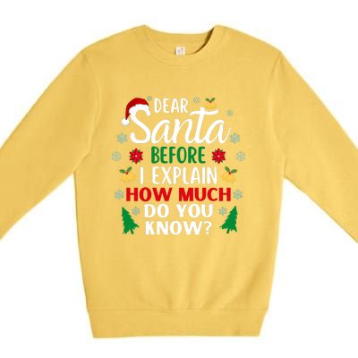 Christmas Dear Santa Before I Explain How Much Do You Know Premium Crewneck Sweatshirt