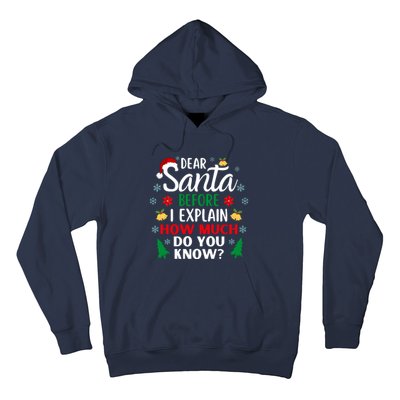 Christmas Dear Santa Before I Explain How Much Do You Know Hoodie