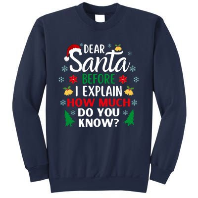 Christmas Dear Santa Before I Explain How Much Do You Know Sweatshirt