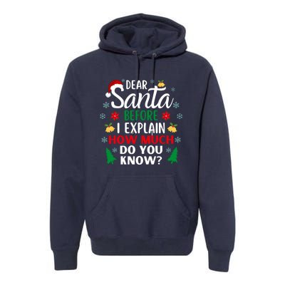 Christmas Dear Santa Before I Explain How Much Do You Know Premium Hoodie