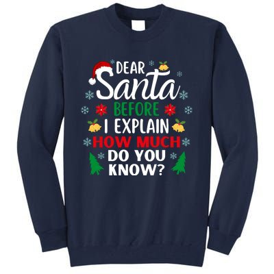 Christmas Dear Santa Before I Explain How Much Do You Know Tall Sweatshirt