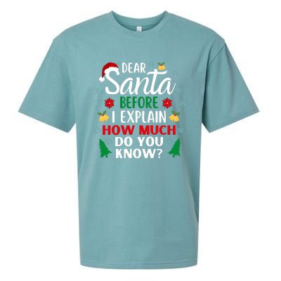 Christmas Dear Santa Before I Explain How Much Do You Know Sueded Cloud Jersey T-Shirt