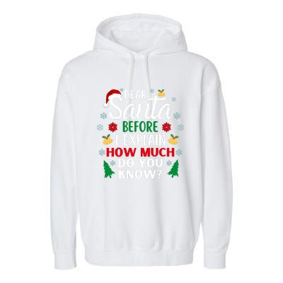 Christmas Dear Santa Before I Explain How Much Do You Know Garment-Dyed Fleece Hoodie