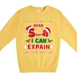 Christmas Dear Santa I Can Explain Funny Santa Claus Joke Cute Gift Premium Crewneck Sweatshirt