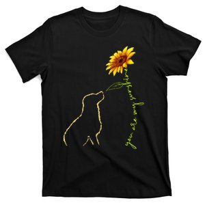 Cute Dog Sunshine Dog Lover Dog Owner T-Shirt