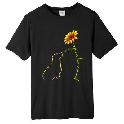 Cute Dog Sunshine Dog Lover Dog Owner Tall Fusion ChromaSoft Performance T-Shirt