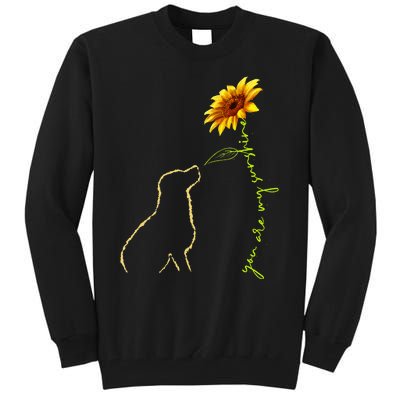 Cute Dog Sunshine Dog Lover Dog Owner Tall Sweatshirt