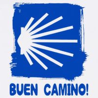Camino De Santiago De Compostela Pilgrim Way Of St. James Wool Snapback Cap