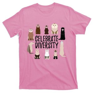 Celebrate Diversity Shirts For Ferret Lovers Cute Ferret T-Shirt