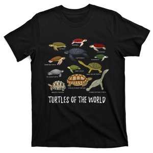 Celebrate Diversity Tortoise Stuff Apparel Sea Turtle Lovers T-Shirt