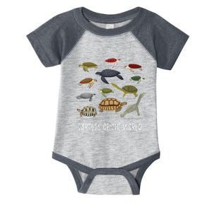 Celebrate Diversity Tortoise Stuff Apparel Sea Turtle Lovers Infant Baby Jersey Bodysuit