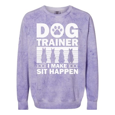 Cool Dog Trainer Dog Training Agility Class Cool Gift Colorblast Crewneck Sweatshirt