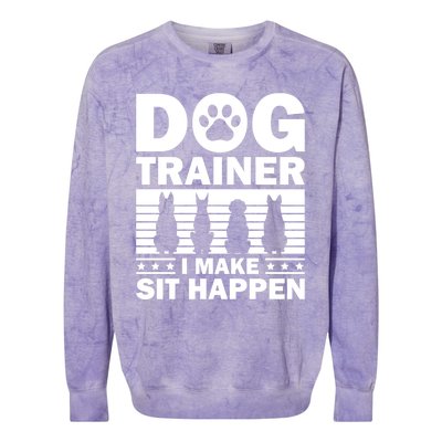 Cool Dog Trainer Dog Training Agility Class Cool Gift Colorblast Crewneck Sweatshirt