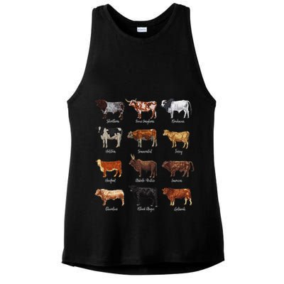 Cattle Drawings Types Of Cows Ladies PosiCharge Tri-Blend Wicking Tank