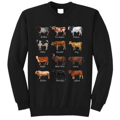 Cattle Drawings Types Of Cows Sweatshirt