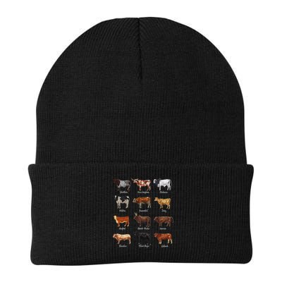 Cattle Drawings Types Of Cows Beanie