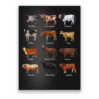 Cattle Drawings Types Of Cows Poster