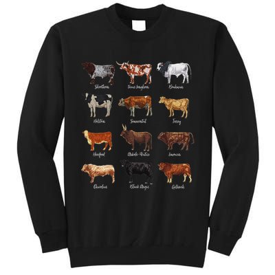 Cattle Drawings Types Of Cows Tall Sweatshirt