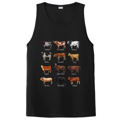 Cattle Drawings Types Of Cows PosiCharge Competitor Tank