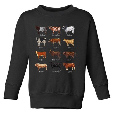 Cattle Drawings Types Of Cows Toddler Sweatshirt