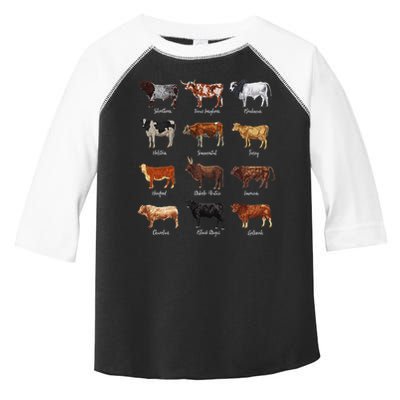 Cattle Drawings Types Of Cows Toddler Fine Jersey T-Shirt