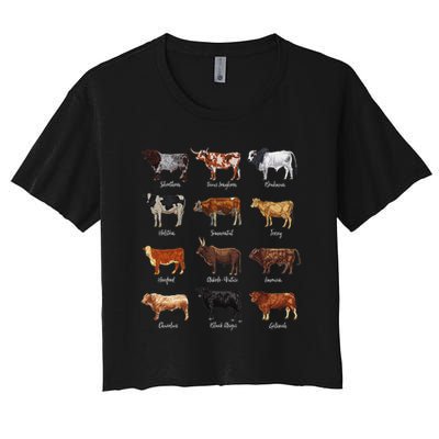 Cattle Drawings Types Of Cows Crop Top