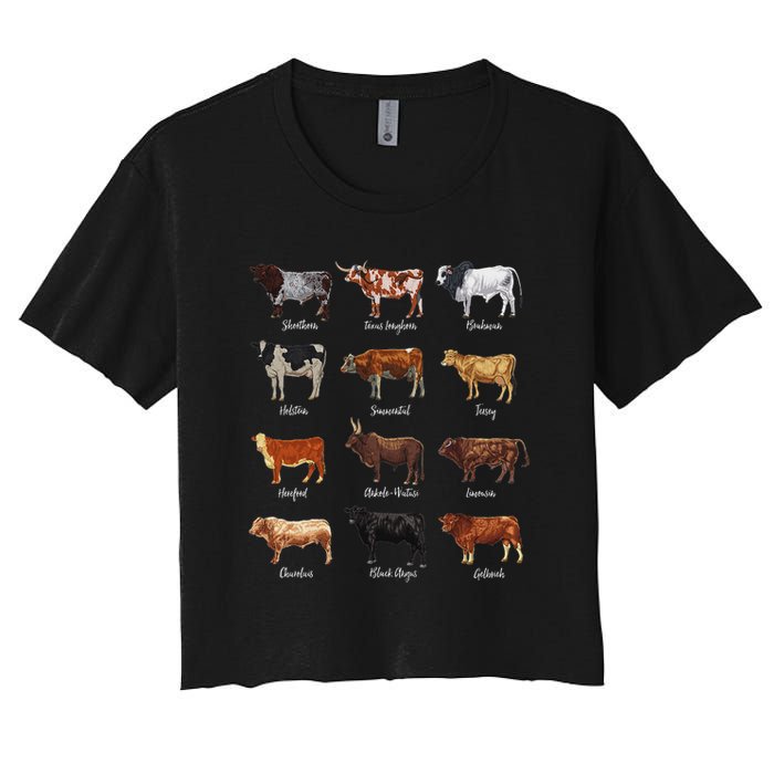 Cattle Drawings Types Of Cows Crop Top