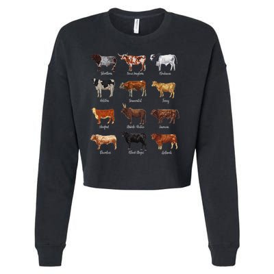 Cattle Drawings Types Of Cows Cropped Pullover Crew