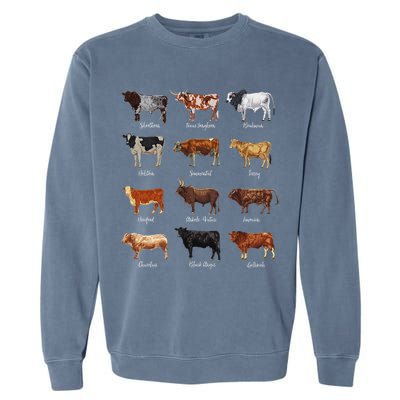 Cattle Drawings Types Of Cows Garment-Dyed Sweatshirt
