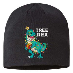 Christmas Dinosaur Tree Rex For Boy Pajamas Sustainable Beanie