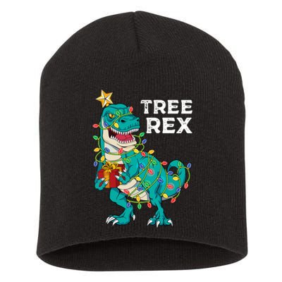 Christmas Dinosaur Tree Rex For Boy Pajamas Short Acrylic Beanie