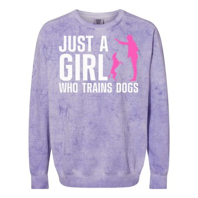 Cute Dog Trainer For Training Dog Lover Owner Colorblast Crewneck Sweatshirt