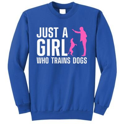 Cute Dog Trainer For Training Dog Lover Owner Sweatshirt