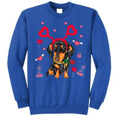 Cute Dachshund Valentine's Day Dachshund Dog Lover Valentine Gift Tall Sweatshirt