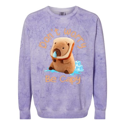 Capybara DonT Worry Be Capy Distressed Cute Colorblast Crewneck Sweatshirt