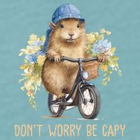 Capybara Dont Worry Be Capy Sueded Cloud Jersey T-Shirt