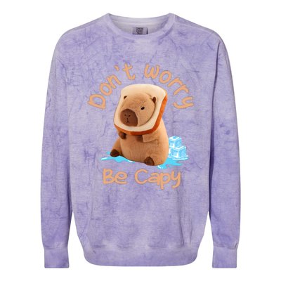 Capybara Dont Worry Be Capy Distressed Capybara Lovers Cute Animal Gift Colorblast Crewneck Sweatshirt