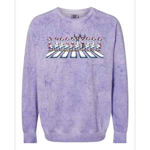 Christmas Ducks Walking Street Xmas Holiday Season Colorblast Crewneck Sweatshirt