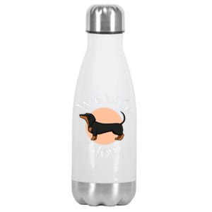 Cute Dachshund Weenie Mom Dog Great Gift Stainless Steel Insulated Water Bottle