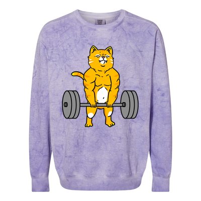 Cat Deadlift Weightlifting Cat Gift Colorblast Crewneck Sweatshirt