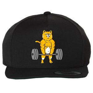 Cat Deadlift Weightlifting Cat Gift Wool Snapback Cap