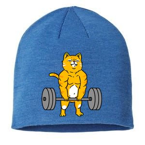 Cat Deadlift Weightlifting Cat Gift Sustainable Beanie